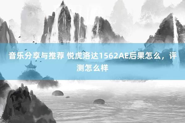 音乐分享与推荐 悦虎洛达1562AE后果怎么，评测怎么样