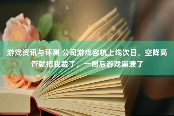 游戏资讯与评测 公司游戏容貌上线次日，空降高管就把我裁了，一周后游戏崩溃了