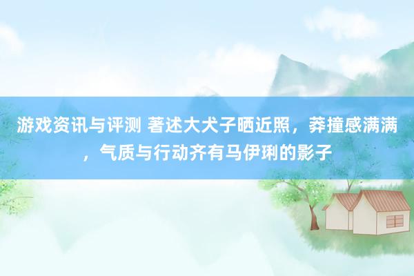 游戏资讯与评测 著述大犬子晒近照，莽撞感满满，气质与行动齐有马伊琍的影子