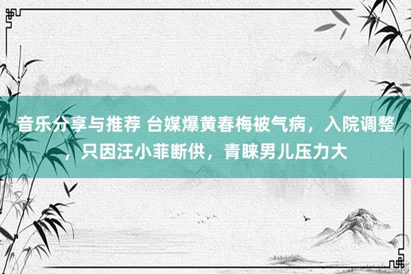 音乐分享与推荐 台媒爆黄春梅被气病，入院调整，只因汪小菲断供，青睐男儿压力大