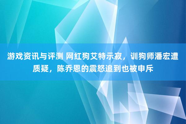 游戏资讯与评测 网红狗艾特示寂，训狗师潘宏遭质疑，陈乔恩的震怒追到也被申斥