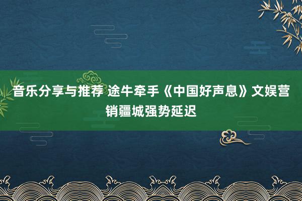 音乐分享与推荐 途牛牵手《中国好声息》文娱营销疆城强势延迟